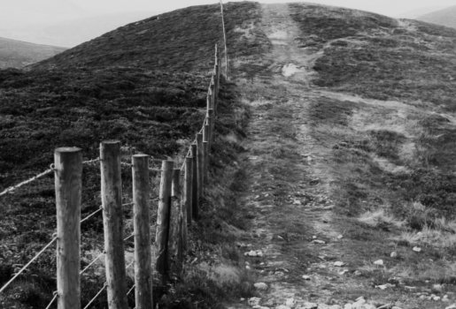 the hills